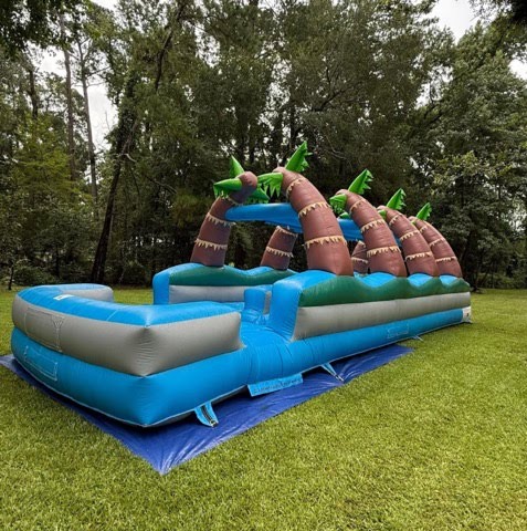 Dual Palm Trees Slip N Slide