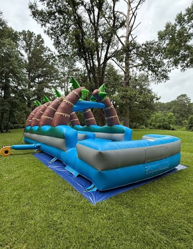 Dual Palm Trees Slip N Slide